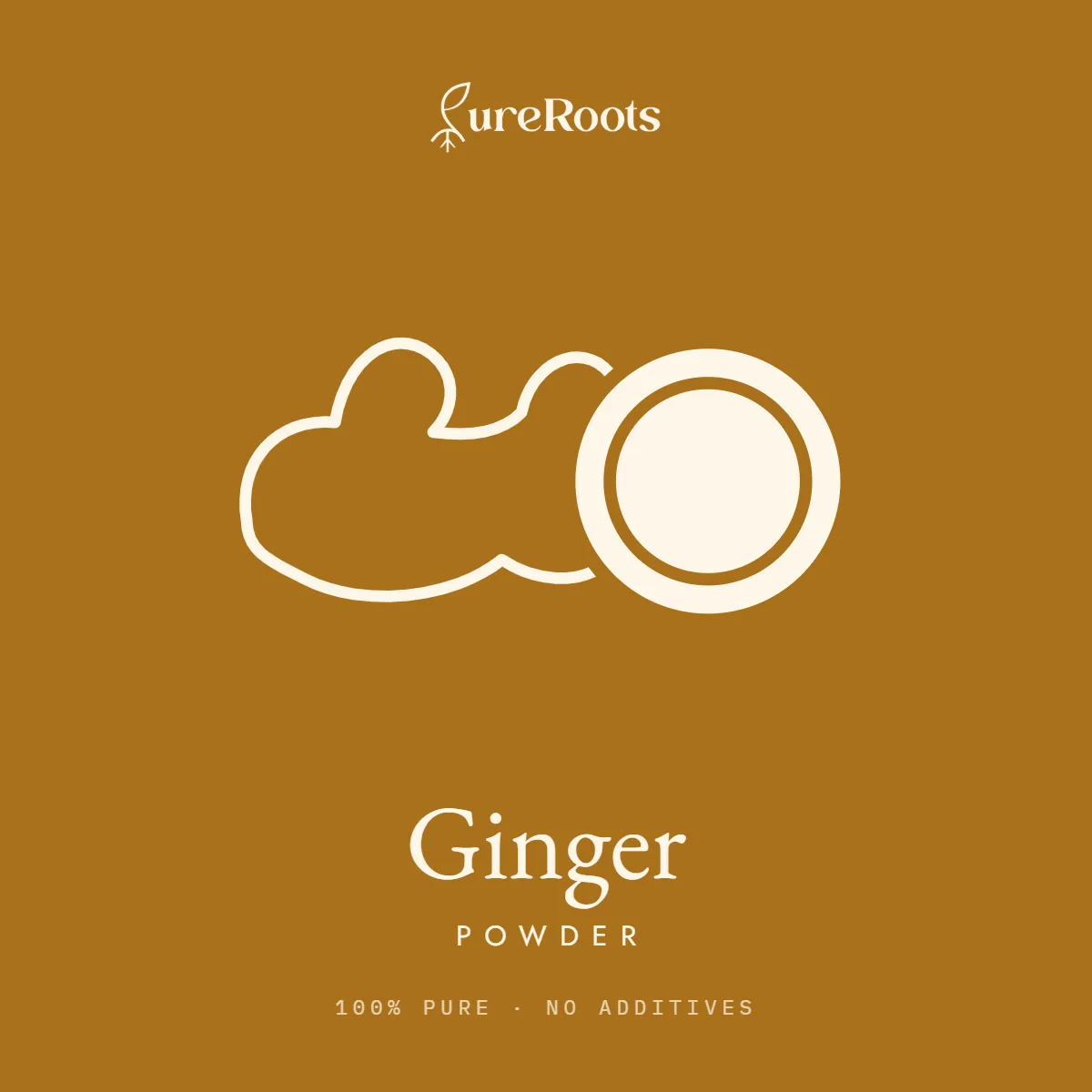 Ginger Powder – 100% Pure Dried Sonth | PureRoots